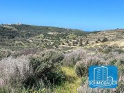 Pitsidia Kreta, Pitsidia: Grundstück am Ortsrand zu verkaufen Grundstück kaufen